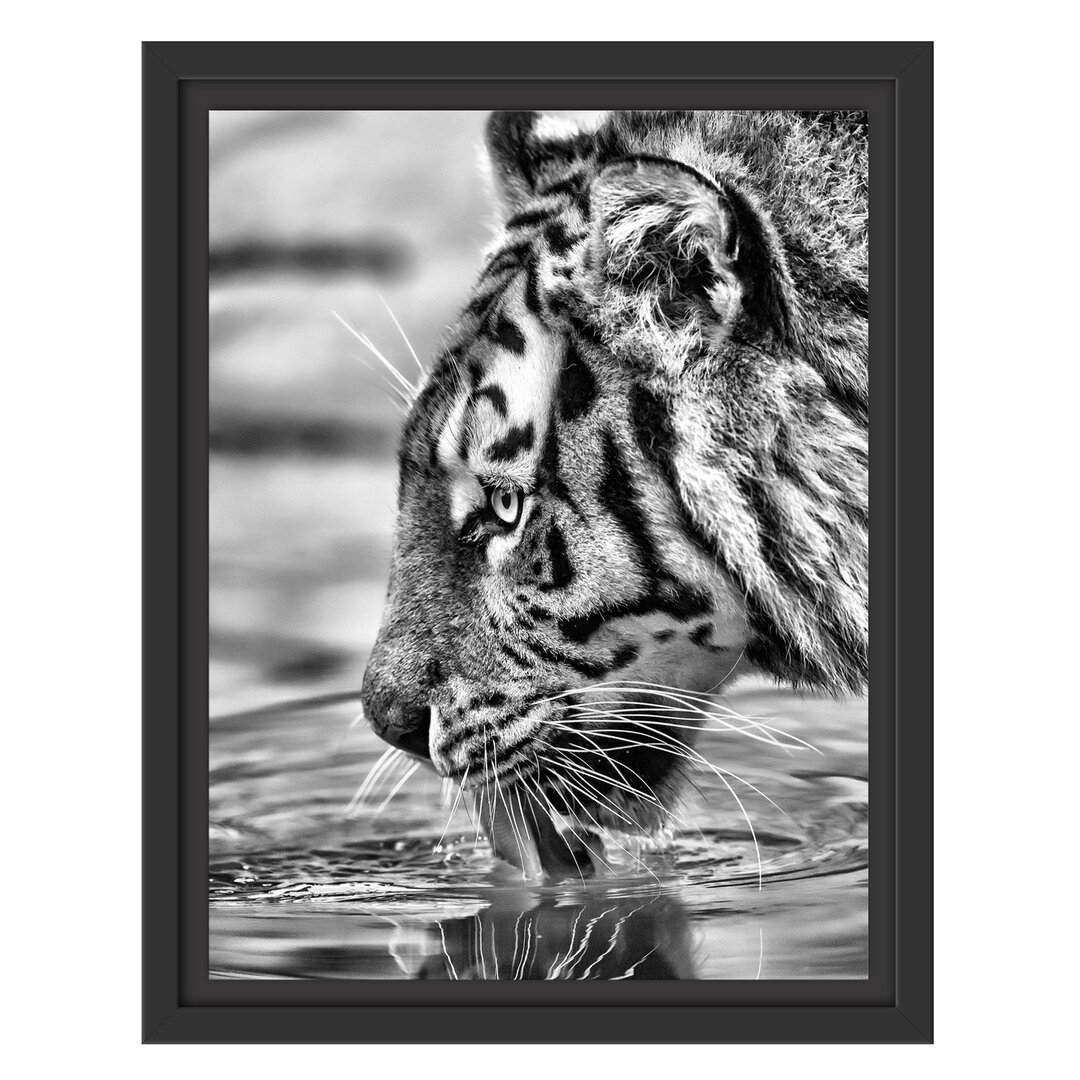 Gerahmtes Wandbild Tiger am Wasserloch