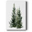 Simple Evergreen I-765343892