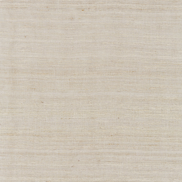 Modern Luxury Tussah Sheer Fabric, Greige