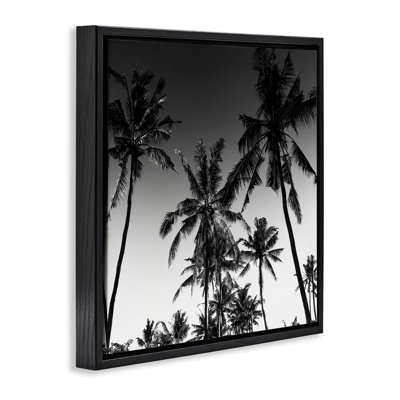 Cadre flottant Palm Sunset Stark Contrast, design par Danita Delimont