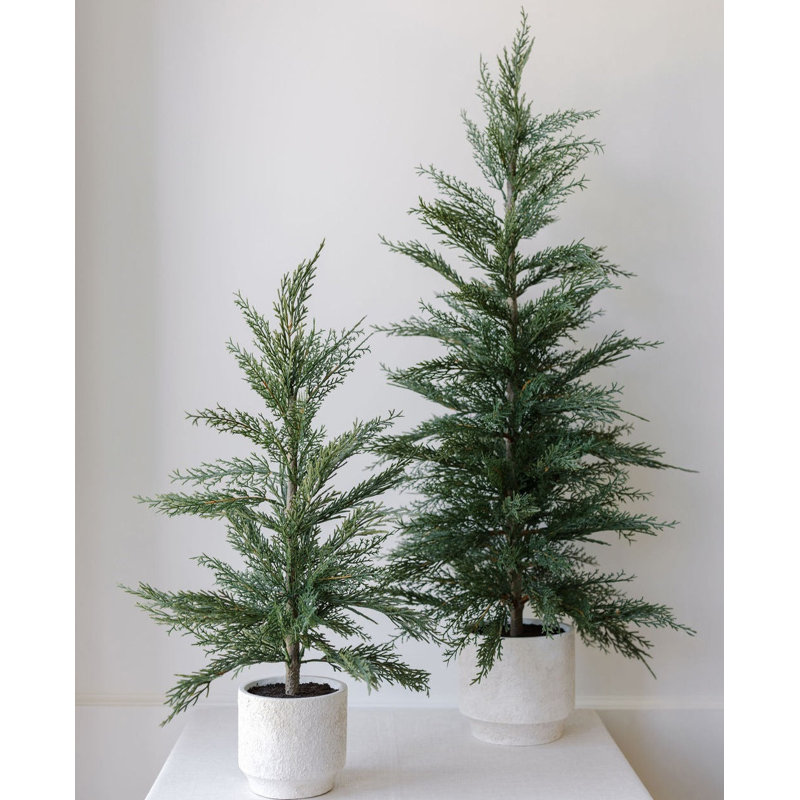 SEASONAL GREENERY TREE S/2 CEDAR POT 2FT, 24" H x 14" W x 14" D