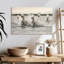 Brampt, chevaux blancs de Camargue qui courent sur la plage III-107677700