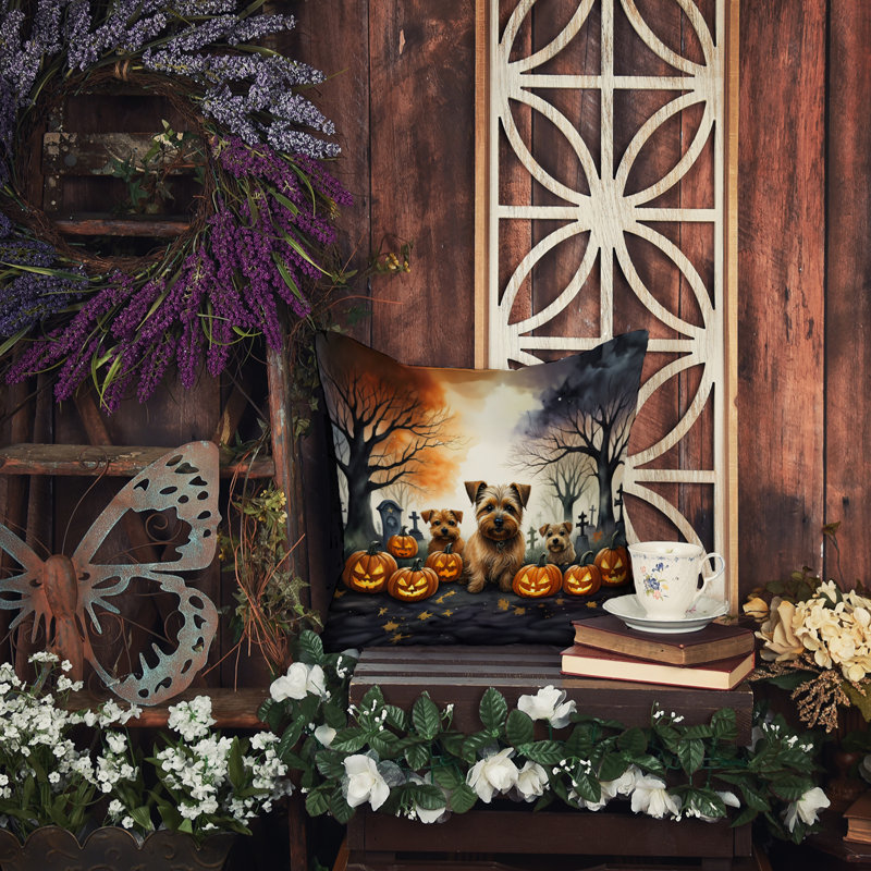 Housse et insert de coussin décoratif en polyester, 14 po x 14 po
