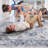 5X7 Blue/Grey/ Living Room Area Rug - Non-Shedding, Stain , For Graceful Home Decor With Pattern Office &-943352116