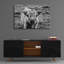«Highland Cow Staring Contest» par Nathan Larson-1157758336