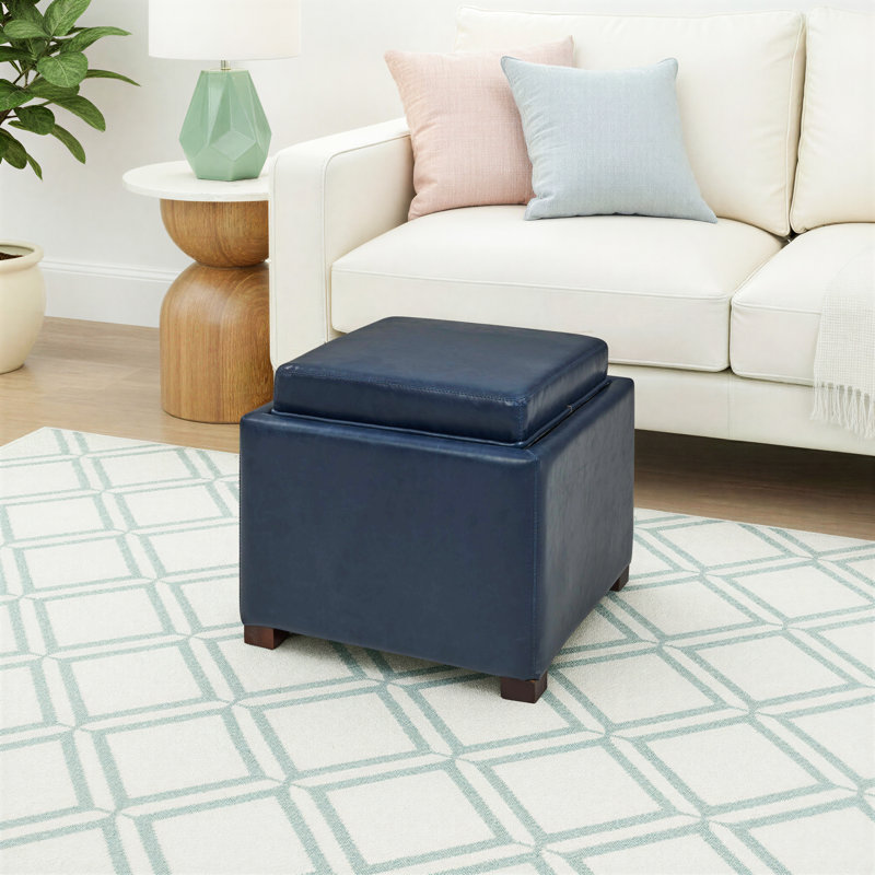 Aracri Upholstered Storage Ottoman, Vintage Blue