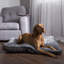 Chester Polyester Pet Bed-1761404262