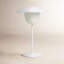 Ani 13" Metal Novelty Table Lamp-384962700
