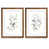 Framed Print with Mat