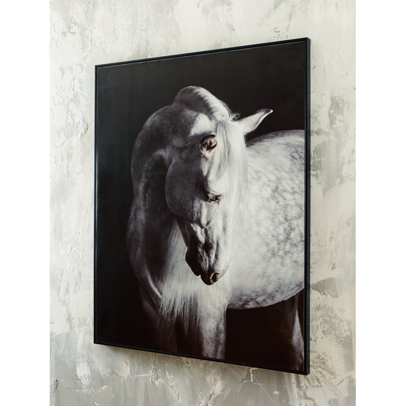 Elegant Black and White Equine Canvas Wall Art, 40 x 50 Inches