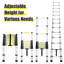 Abarca 12 - Step Aluminum Lightweight Folding Extension Ladder