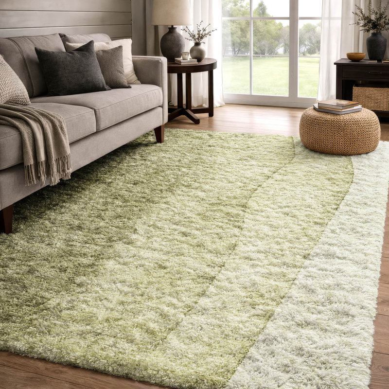 Tapis à poils longs lavable à la machine de qualité supérieure ADS690, Olive, 3 pi x 5 pi