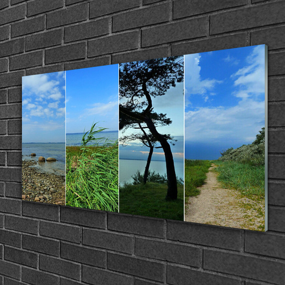 Glasbild Strand Baum Wanderweg Landschaft