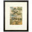 Forest Shade I Print by Daughdrill