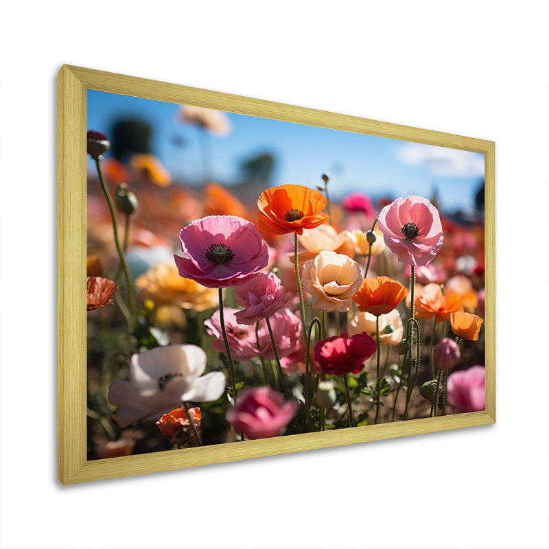 Champ de fleurs vibrantes I, H 24 po x l 32 po x P 1 po, Cadre doré à une seule photo