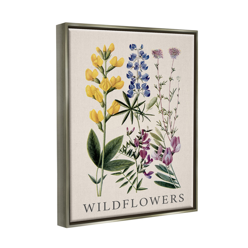 «Wildflower Species Study», reproduction encadrée sur toile par Piddix, H 31 po x l 25 po x P 1,7 po