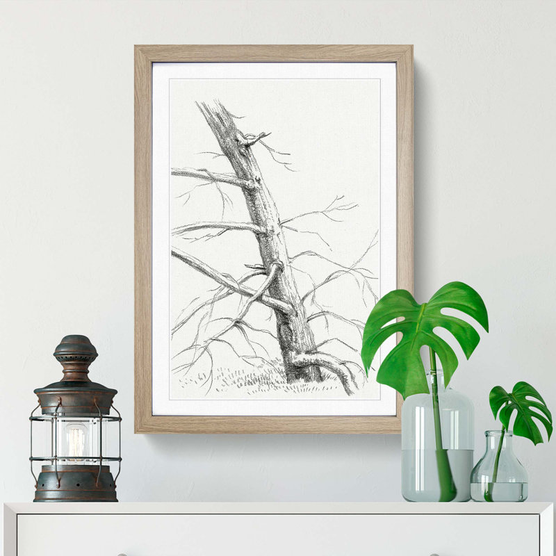 Study of a Tree by Jean Bernard - Picture Frame Painting Print, 65cm H x 48cm W x 2cm D, Oak Framed