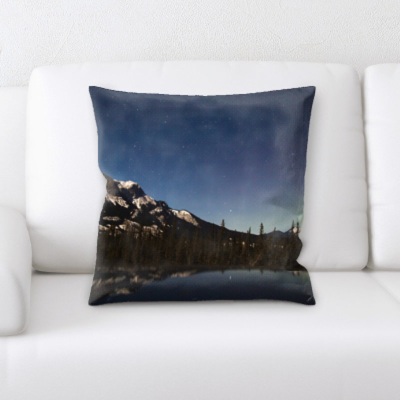 Microsuede Throw Pillow
