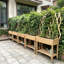 Boîte à fleurs surélevée pour jardin en bois massif