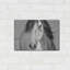 «My Beautiful Mane» par Lisa Dearing-1589941993