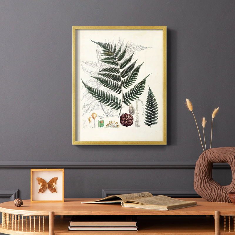 Collection de fougères VI, reproduction encadrée - bois massif, Or, H 28 po x l 22 po