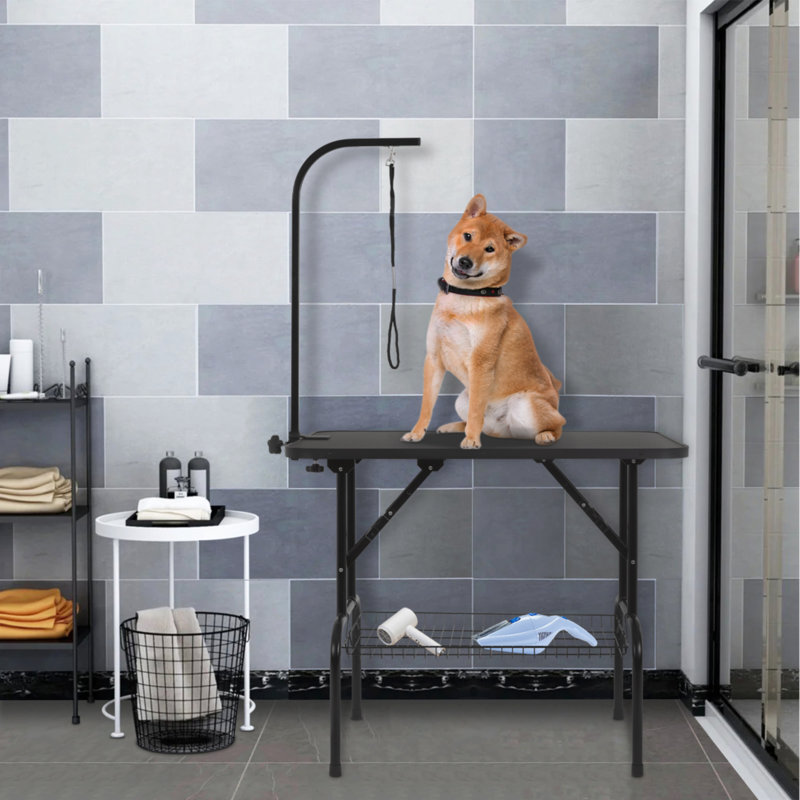 Table de toilettage pour chien