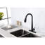 Robinet à poignée simple en acier inoxydable avec évier rétractable pour la cuisine, système de couleur noir mat, buse à grande arche rotative à 360 °, trois modes de sortie d'eau, jet, température sans effort et-552387382