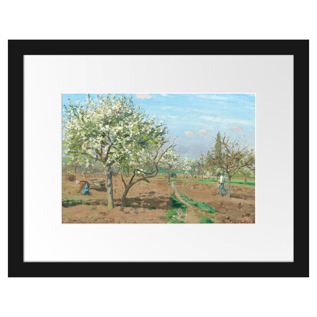 Gerahmter Kunstdruck Orchard in Blossom Louveciennes von Camille Pissarro