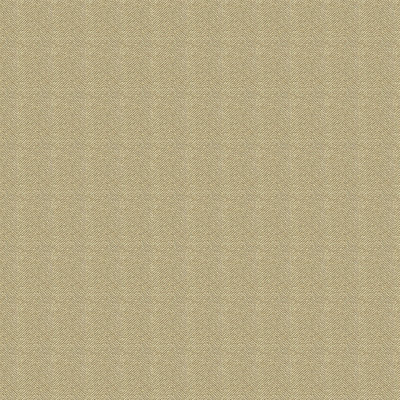 Guaranteed in Stock Fabric