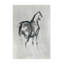 Gray Stallion II Print by Jacob Lincoln-26762944-26762945