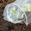 PE Greenhouse Grow Tunnel 3m Transparent Polytunnel Cloche with Galvanised Hoops Frost Pest Protection for Vegetables Plants Seedlings 300x45x45cm-129628278