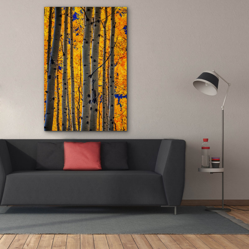 Toile épique Graffiti «Aspenglow Iv» par Rick Berk, 40 po x 60 po