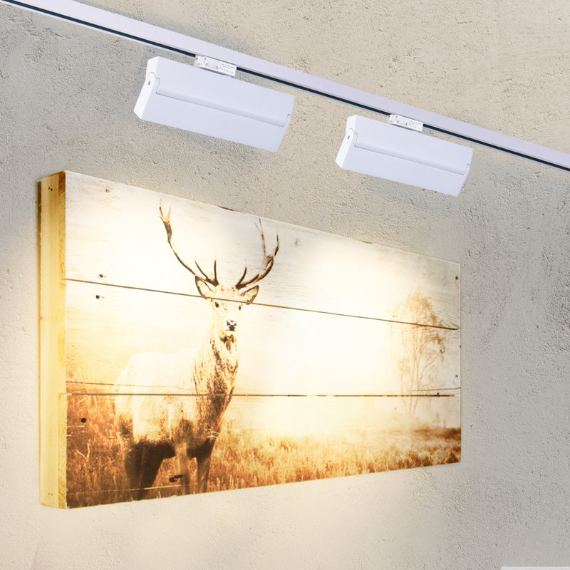 LED Adjustable Track Head, White