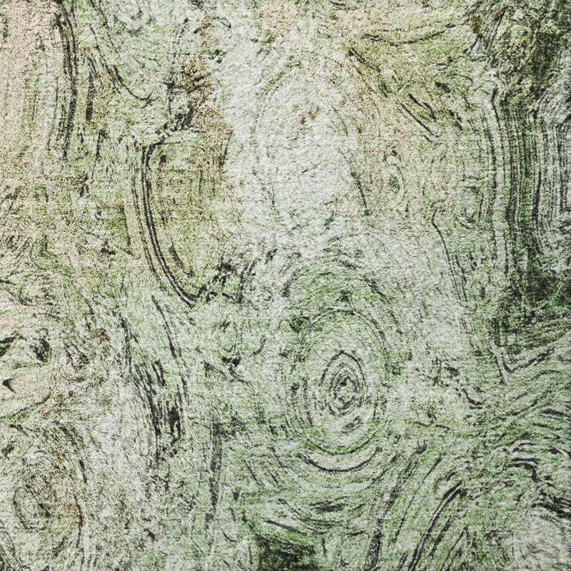 Tapis à poils longs lavable à la machine de qualité supérieure ADS579, Green, 8' Round