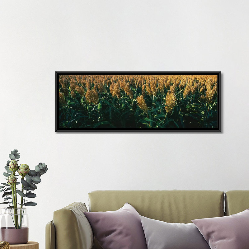 «Crop in the Field, Kansas, USA», reproduction de photo sur toile, H 20 po x l 60 po x P 1,5 po, Toile avec cadre noir