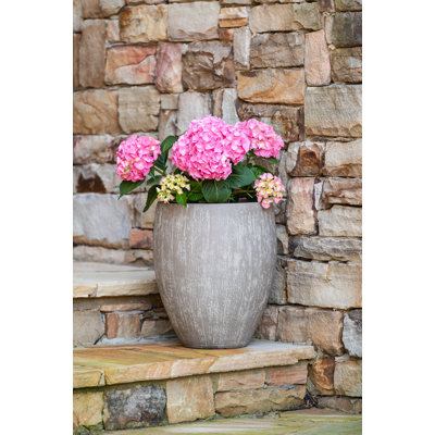 12.6" Kai Blow Mold Planter, 2-pack