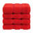 Darcelle 100% Cotton 4-Piece Turkish Washcloth Set-1930656620