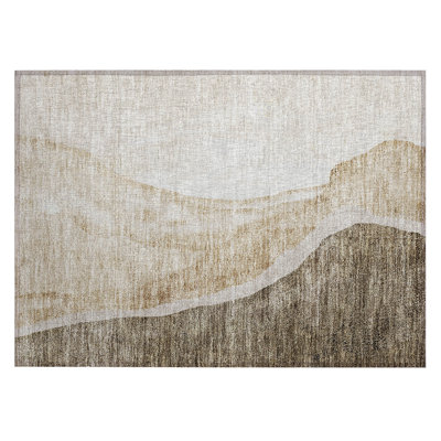 Chieu Washable Abstract Indoor / Outdoor Rug