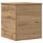 Camp Trunk / Footlocker-129590083