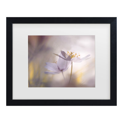 Bolog Ylva Sjogren Tones Matted Framed Art