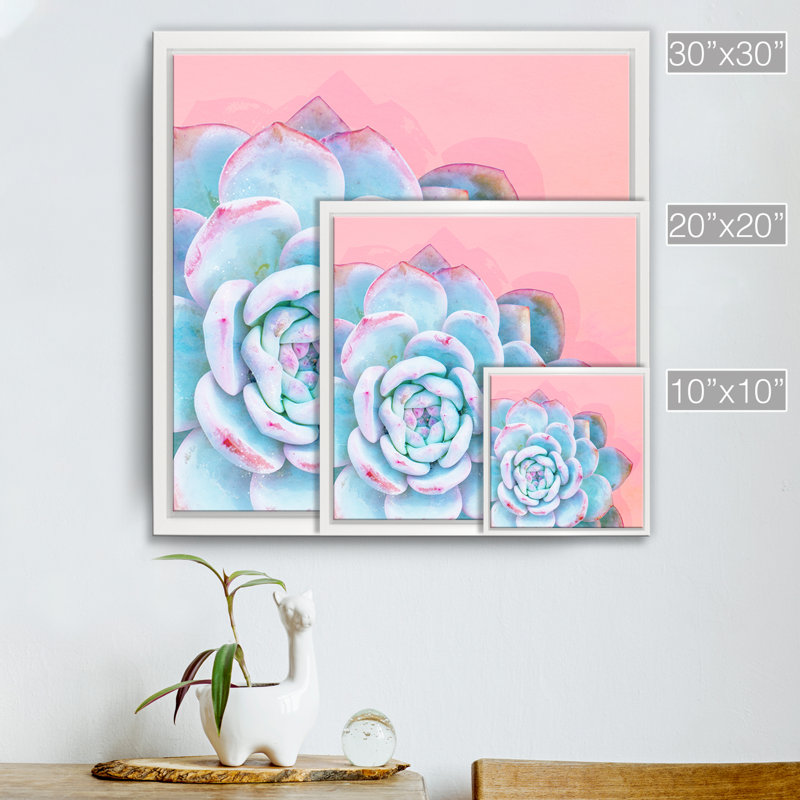 « réveil i », impression sur toile encadrée en bleu/rose succulent, H 20 po x l 20 po x P 1,5 po, Cadre blanc