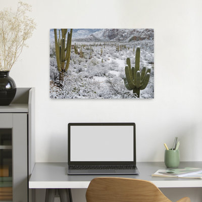 Cactus de Saguaro dans un désert après une tempête de neige, Tucson, Arizona, abstrait, art contemporain de paysage de forêt de cactus