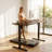 Kreutzer Height Adjustable Standing Gaming Desk-1670134403-1670371016