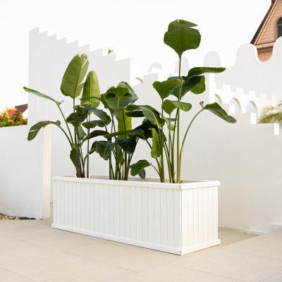 Barros Outdoor Wood Planter Box New house beauty and hope Raised Garden Bed