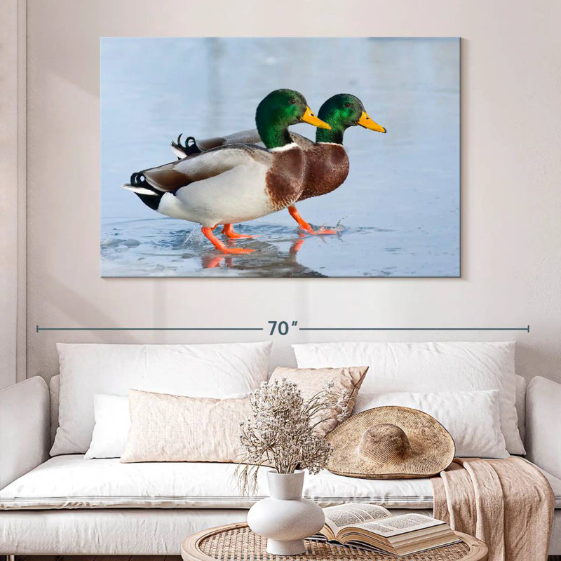 Duo canard colvert Brampt, H 34 po x l 51 po