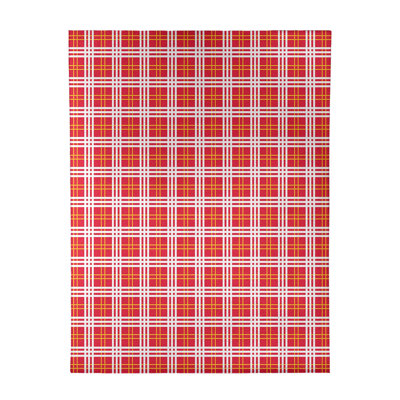 Plaid Indoor Rug