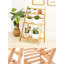 Carlleen Plant Stand