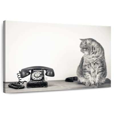 Brampt Vintage Cat