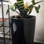 Pot de fleurs en plastique avec réservoir-87829414