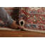 Tapis persan à motif floral All-Over Sarouk noué à la main 9 x 12